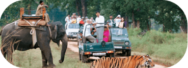 NORTH EASTERN REGION